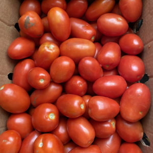 Roma Tomatos