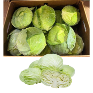 Iceberg Lettuce (30Pcs)